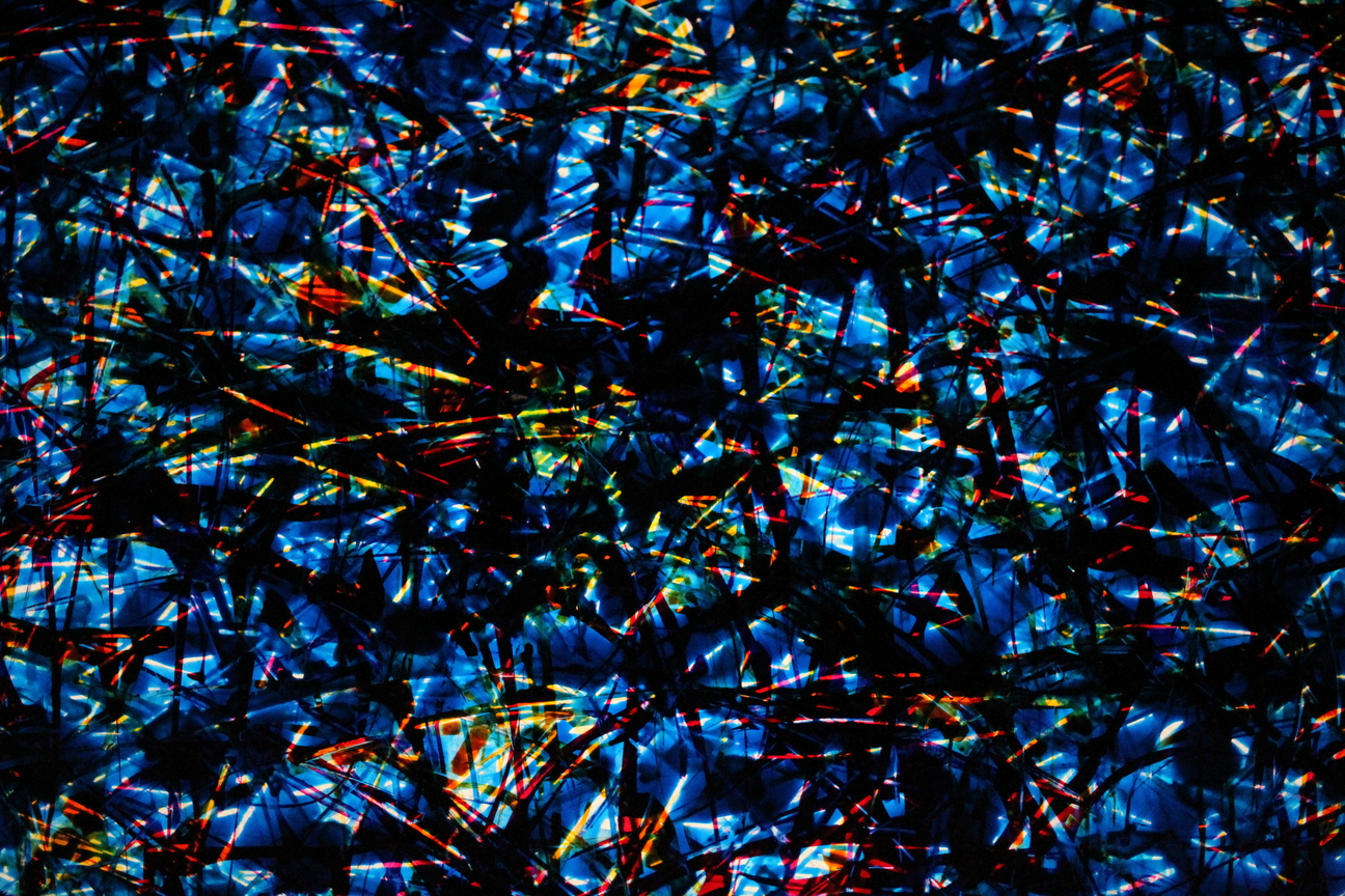 Rita Stepanek - Windows